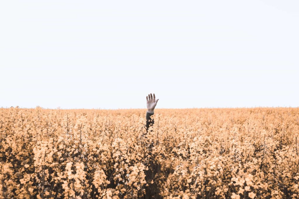 family violence provisions for immigration